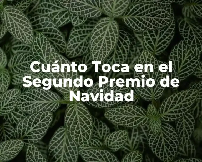 Cuánto Toca en el Segundo Premio de Navidad