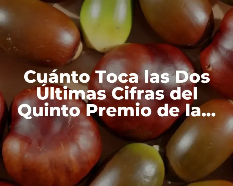 Cuánto Toca las Dos Últimas Cifras del Quinto Premio de la Lotería