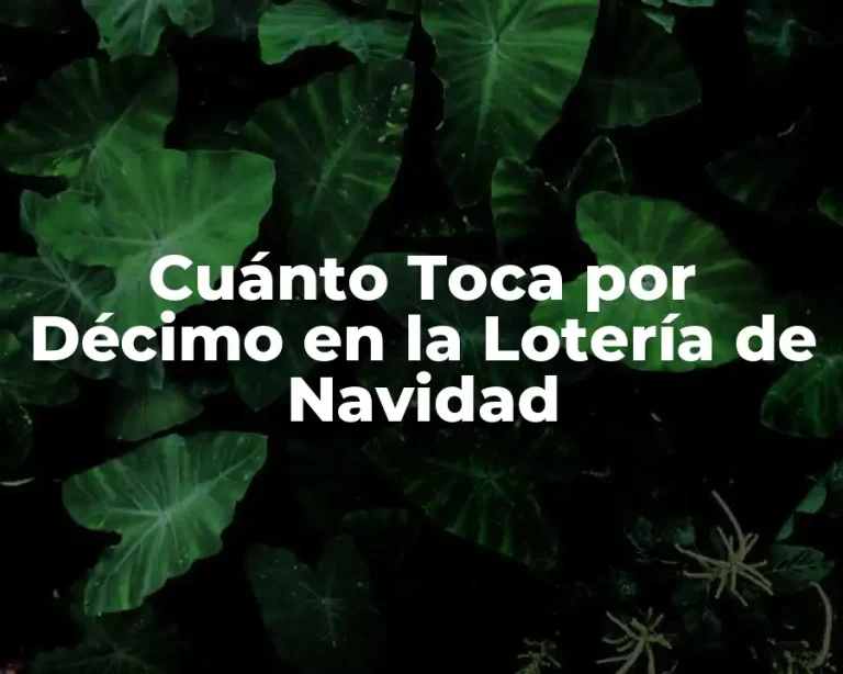 Cuánto Toca por Décimo en la Lotería de Navidad