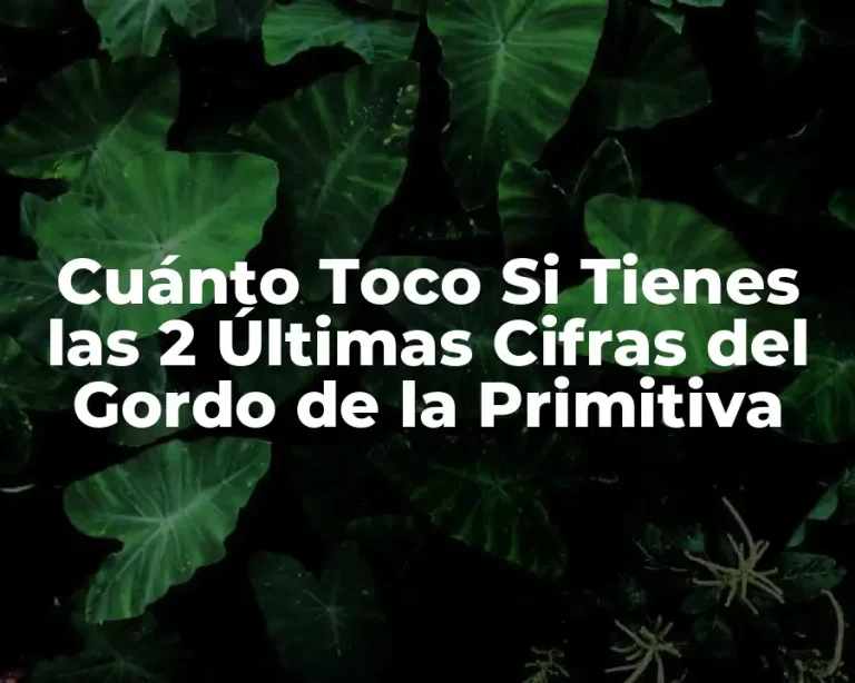Cuánto Toco Si Tienes las 2 Últimas Cifras del Gordo de la Primitiva