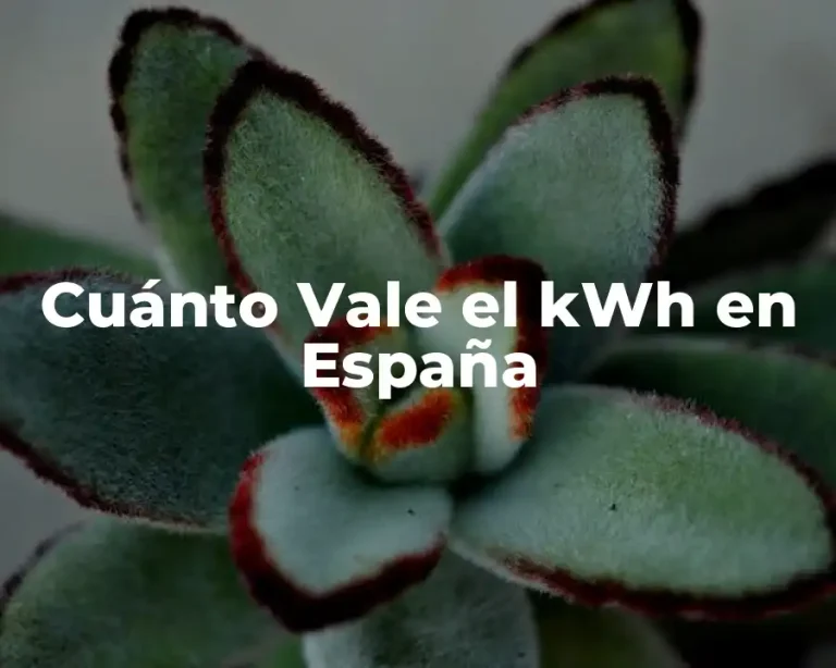 Cuánto Vale el kWh en España