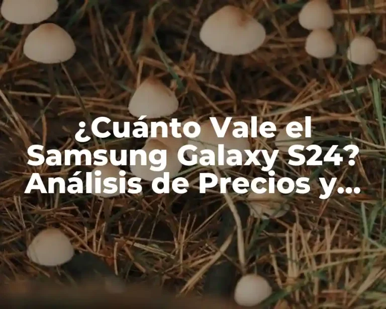 ¿Cuánto Vale el Samsung Galaxy S24? Análisis de Precios y Características