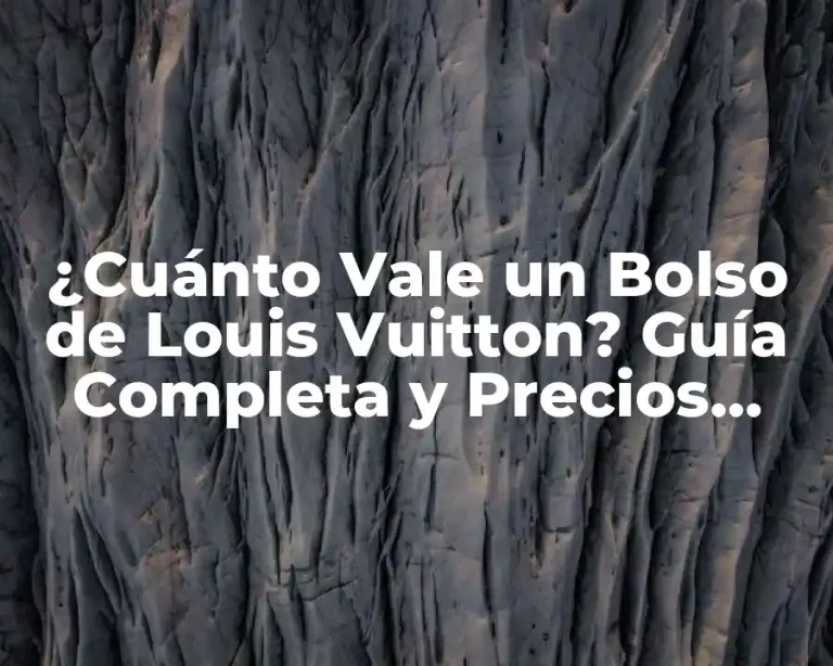¿Cuánto Vale un Bolso de Louis Vuitton? Guía Completa y Precios Actualizados
