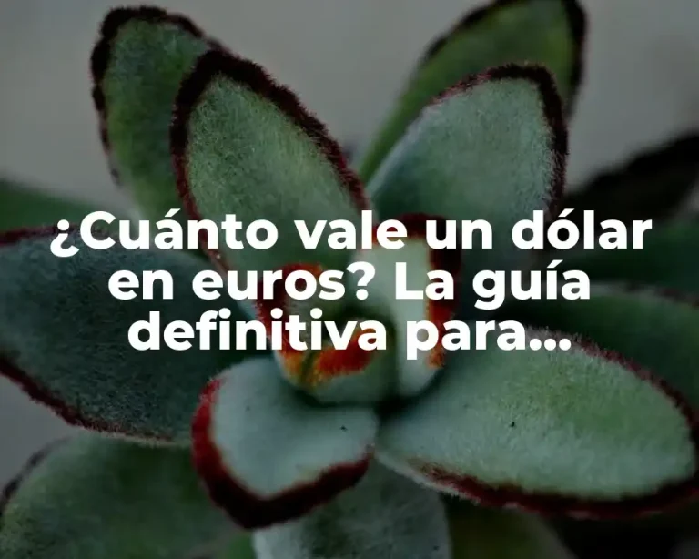 ¿Cuánto vale un dólar en euros? La guía definitiva para comprender el tipo de cambio