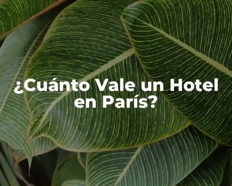 ¿Cuánto Vale un Hotel en París?