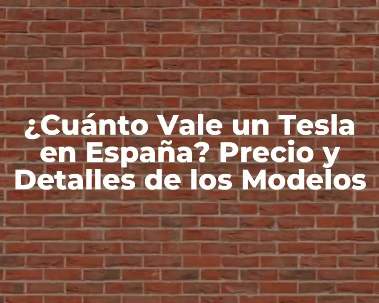 ¿Cuánto Vale un Tesla en España? Precio y Detalles de los Modelos