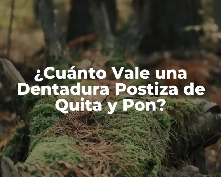¿Cuánto Vale una Dentadura Postiza de Quita y Pon?