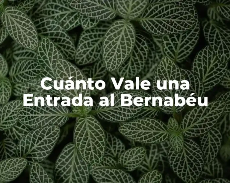 Cuánto Vale una Entrada al Bernabéu