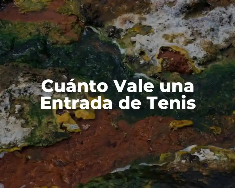 Cuánto Vale una Entrada de Tenis