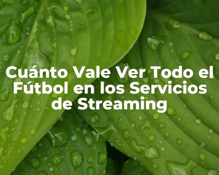 Cuánto Vale Ver Todo el Fútbol en los Servicios de Streaming