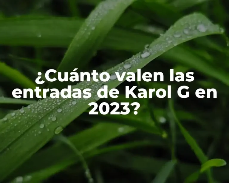 ¿Cuánto valen las entradas de Karol G en 2023?