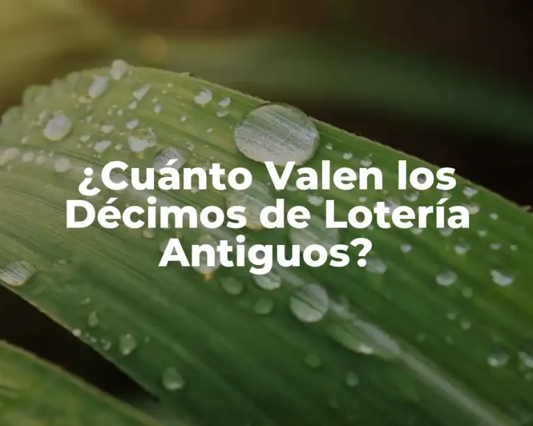 ¿Cuánto Valen los Décimos de Lotería Antiguos?