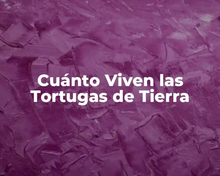 Cuánto Viven las Tortugas de Tierra