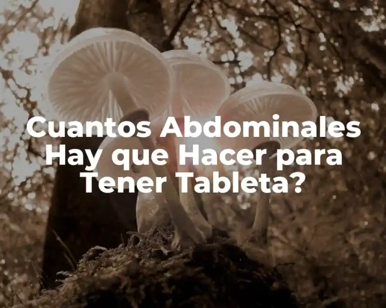 Cuantos Abdominales Hay que Hacer para Tener Tableta?