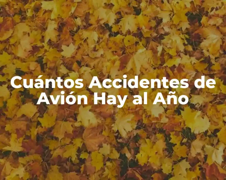 Cuántos Accidentes de Avión Hay al Año