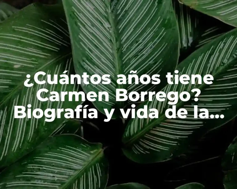 ¿Cuántos años tiene Carmen Borrego? Biografía y vida de la periodista española