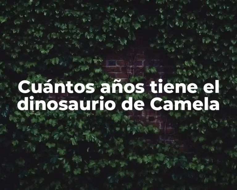 Cuántos años tiene el dinosaurio de Camela