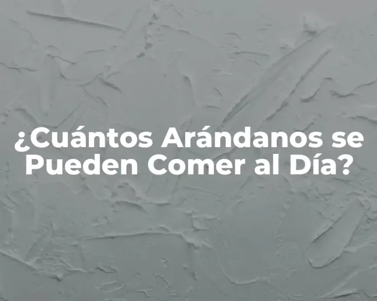 ¿Cuántos Arándanos se Pueden Comer al Día?