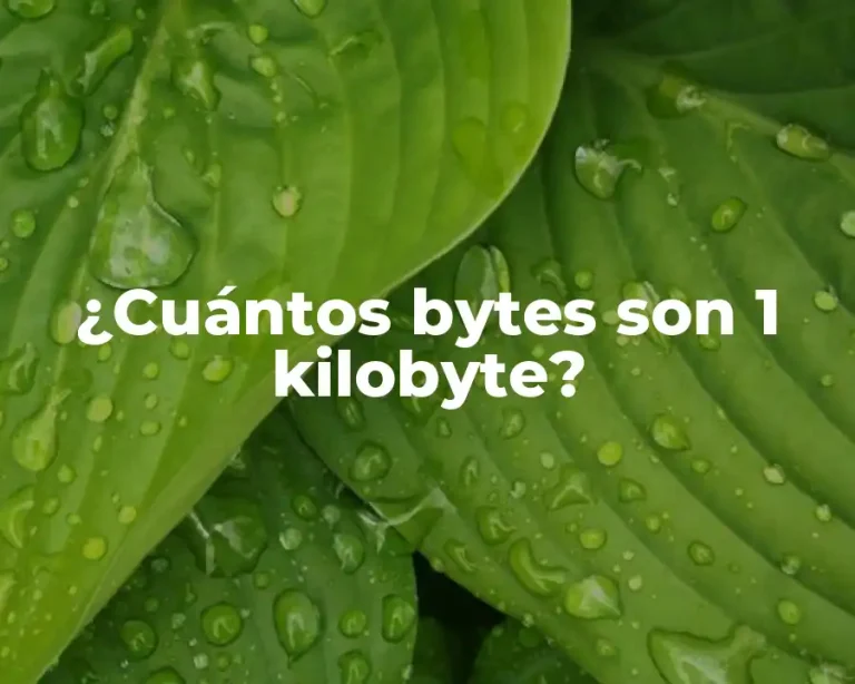 ¿Cuántos bytes son 1 kilobyte?