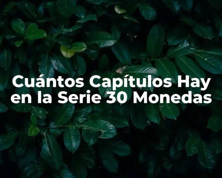 Cuántos Capítulos Hay en la Serie 30 Monedas