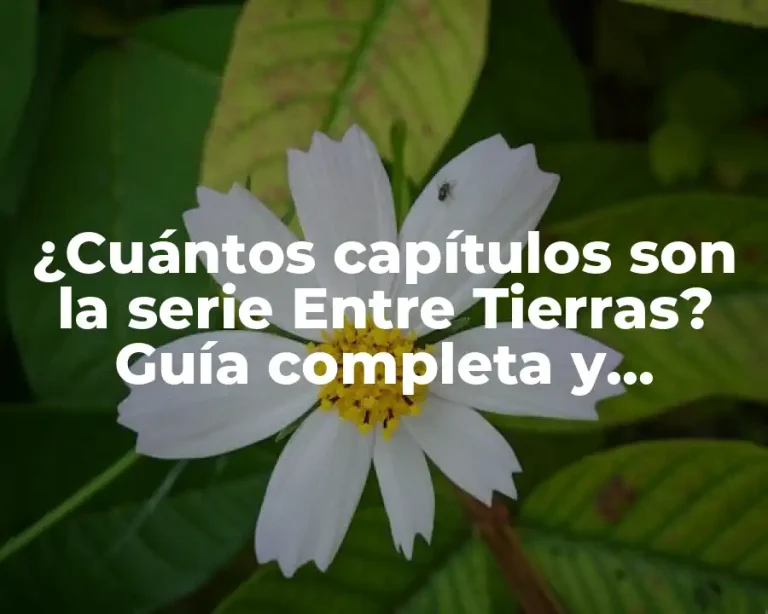 ¿Cuántos capítulos son la serie Entre Tierras? Guía completa y detallada