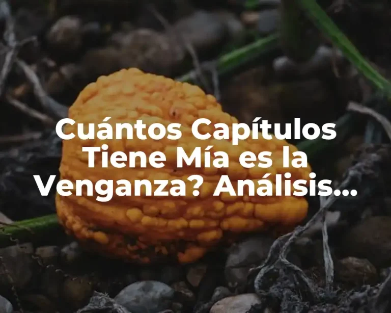 Cuántos Capítulos Tiene Mía es la Venganza? Análisis Detallado de la Serie de Netflix