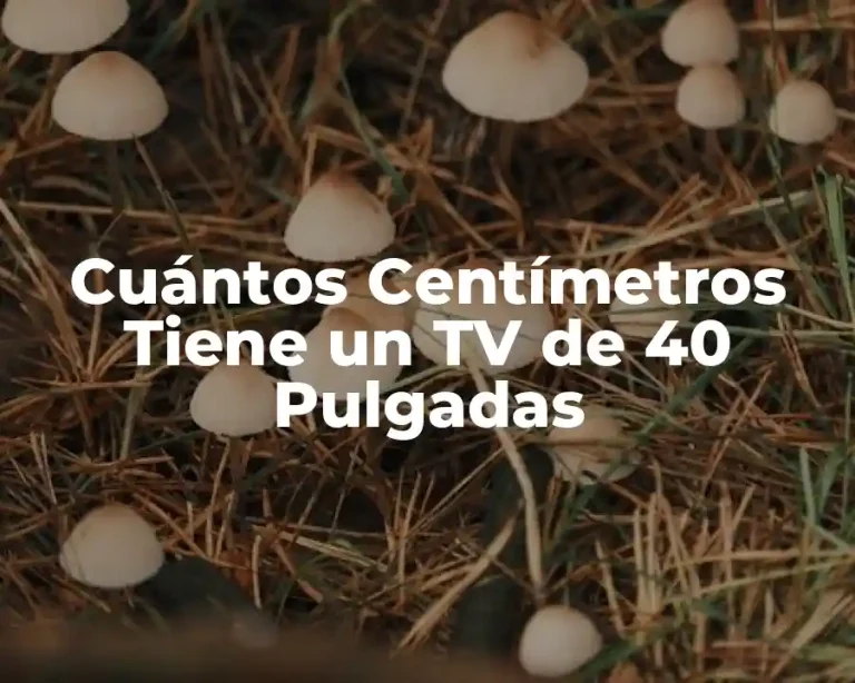 Cuántos Centímetros Tiene un TV de 40 Pulgadas