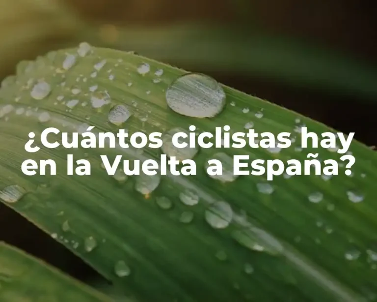 ¿Cuántos ciclistas hay en la Vuelta a España?