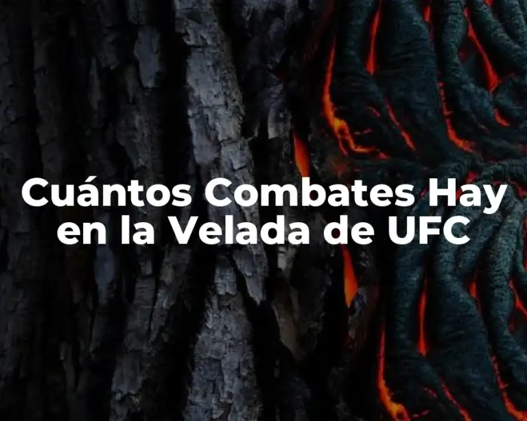 Cuántos Combates Hay en la Velada de UFC