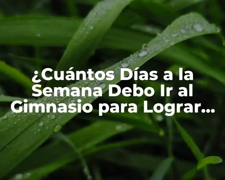 ¿Cuántos Días a la Semana Debo Ir al Gimnasio para Lograr Mis Objetivos?