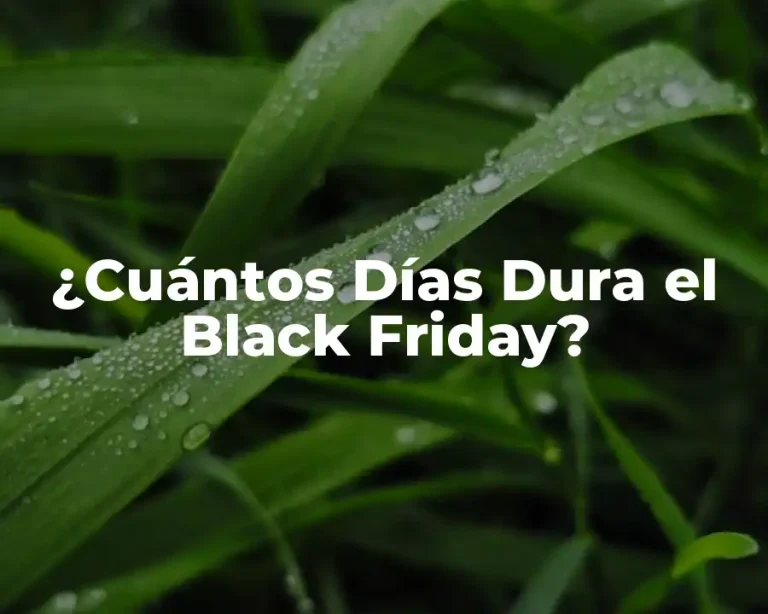 ¿Cuántos Días Dura el Black Friday?