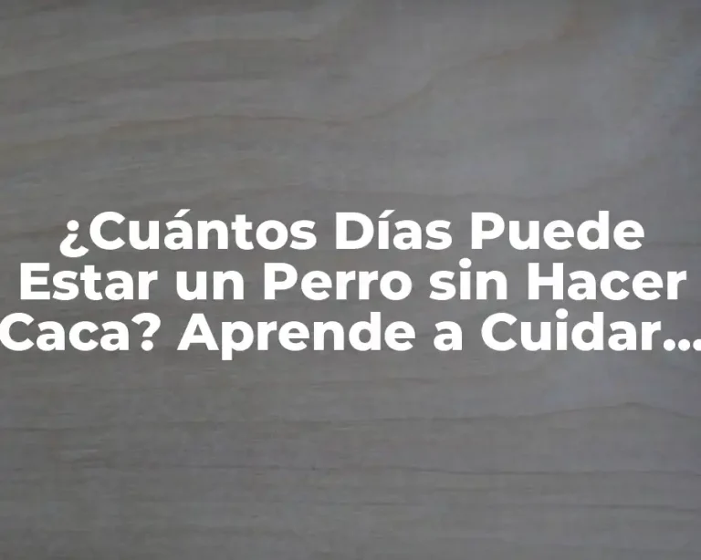 ¿Cuántos Días Puede Estar un Perro sin Hacer Caca? Aprende a Cuidar la Salud Digestiva de tu Mascota