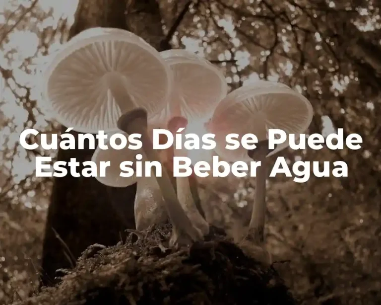 Cuántos Días se Puede Estar sin Beber Agua