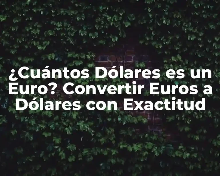 ¿Cuántos Dólares es un Euro? Convertir Euros a Dólares con Exactitud
