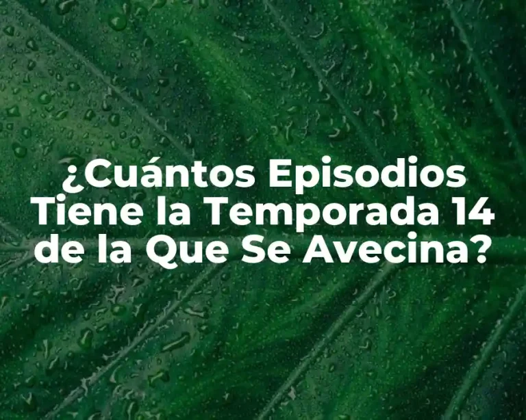 ¿Cuántos Episodios Tiene la Temporada 14 de la Que Se Avecina?