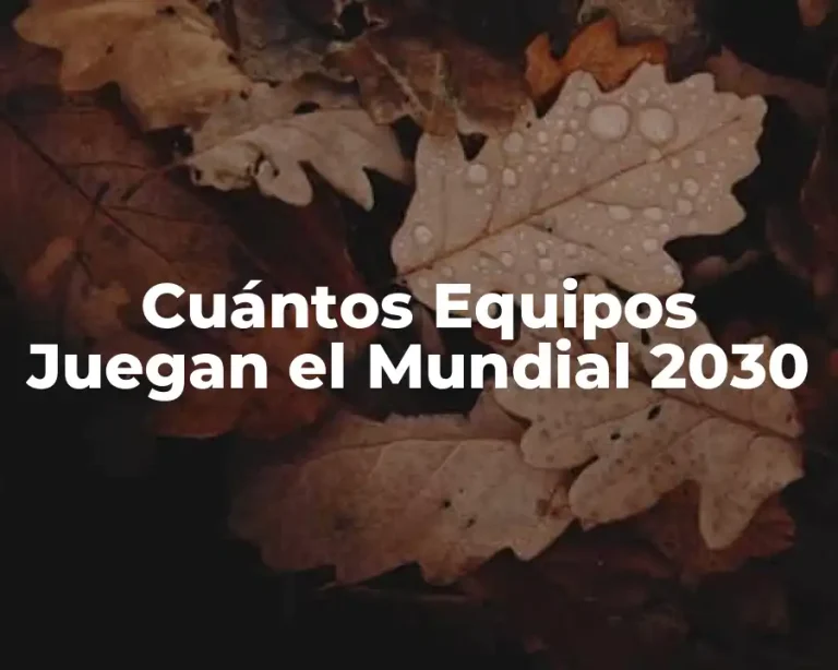 Cuántos Equipos Juegan el Mundial 2030