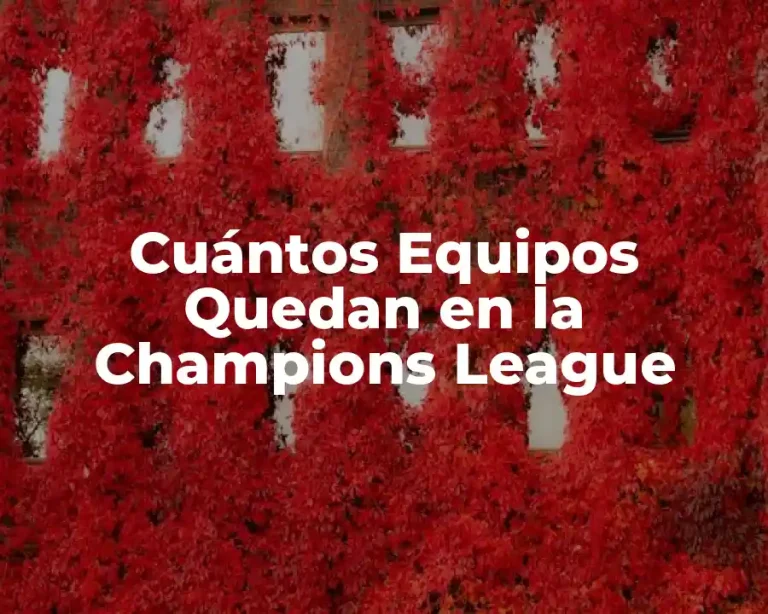 Cuántos Equipos Quedan en la Champions League