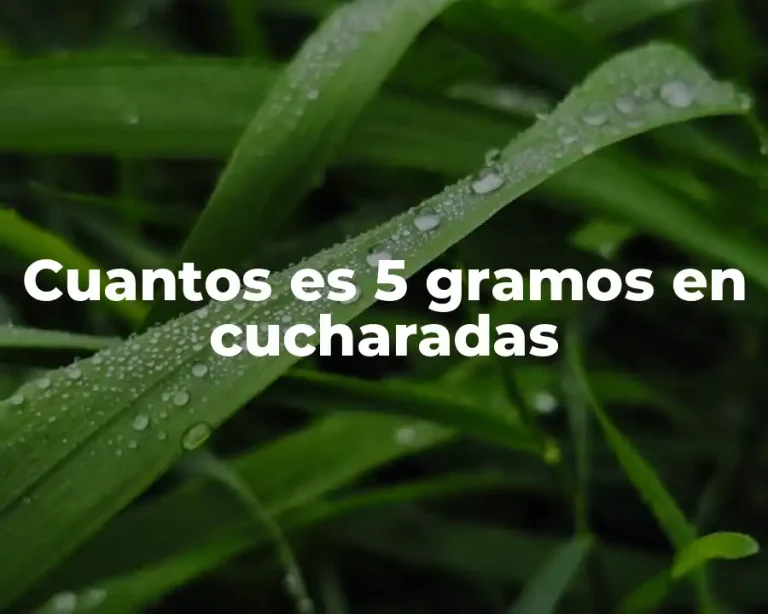 Cuantos es 5 gramos en cucharadas