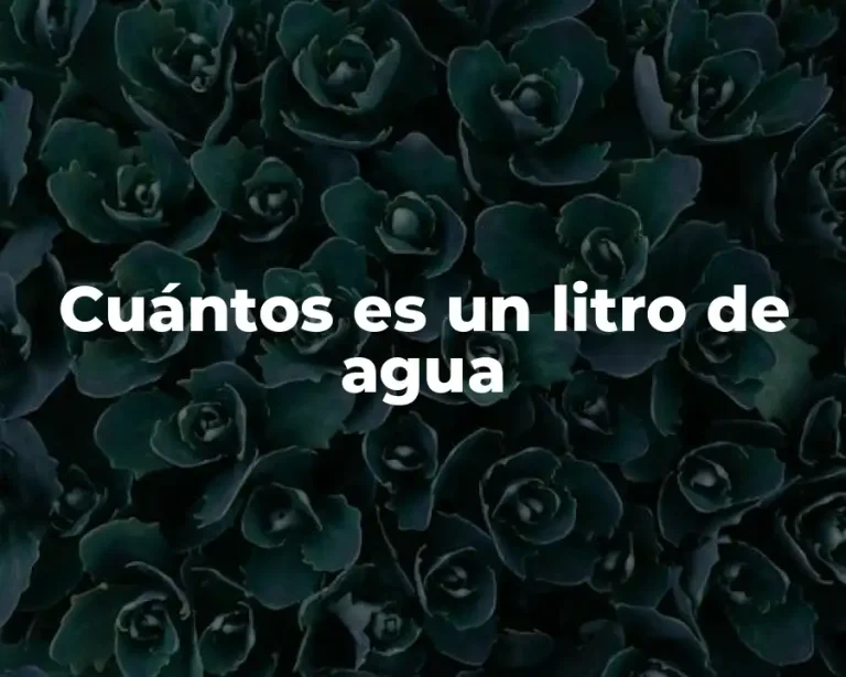 Cuántos es un litro de agua