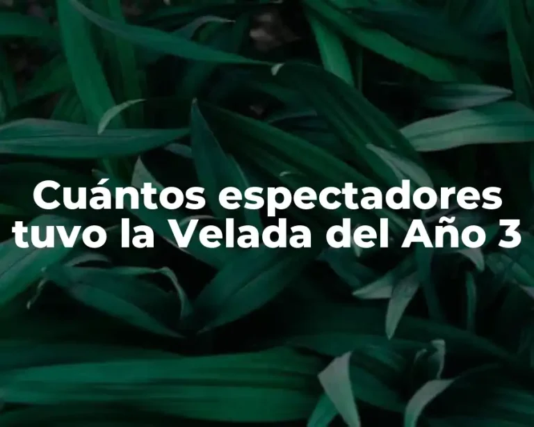 Cuántos espectadores tuvo la Velada del Año 3