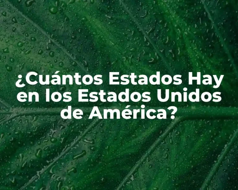 ¿Cuántos Estados Hay en los Estados Unidos de América?