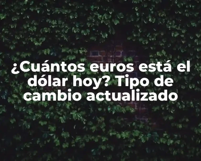 ¿Cuántos euros está el dólar hoy? Tipo de cambio actualizado