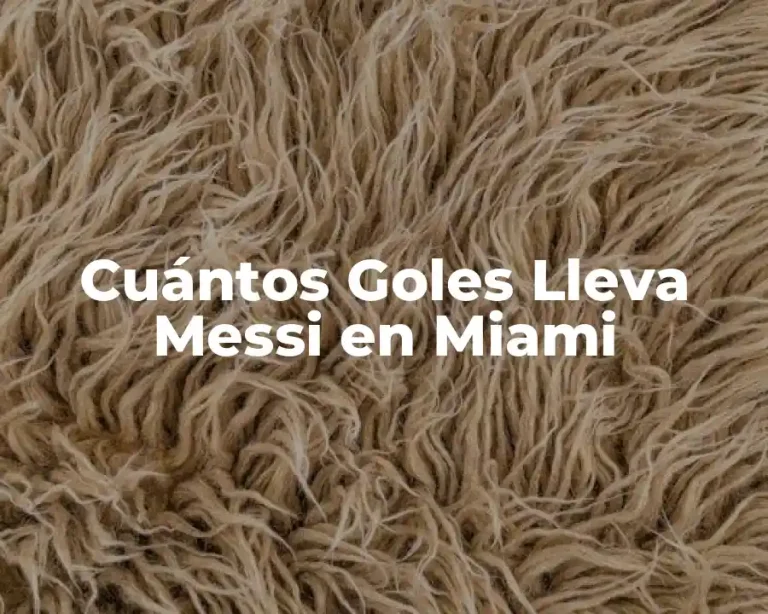 Cuántos Goles Lleva Messi en Miami