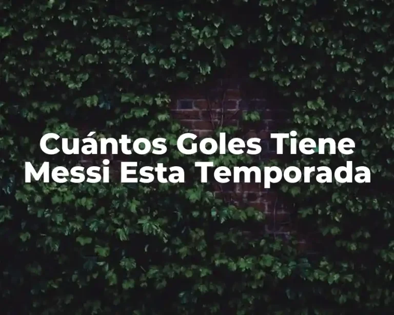 Cuántos Goles Tiene Messi Esta Temporada