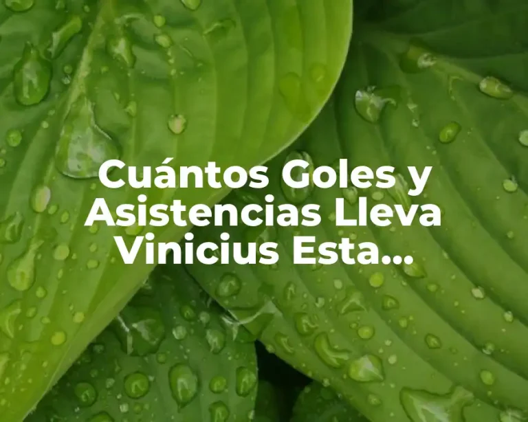 Cuántos Goles y Asistencias Lleva Vinicius Esta Temporada