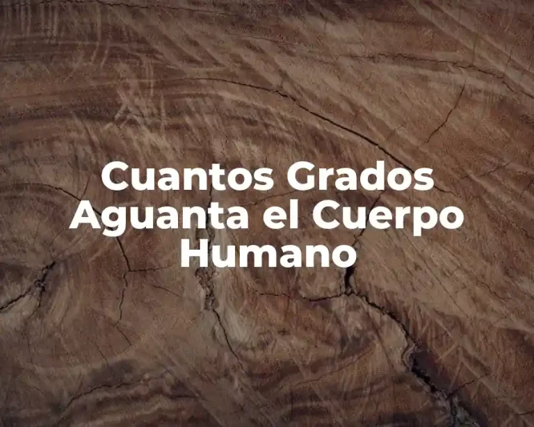 Cuantos Grados Aguanta el Cuerpo Humano