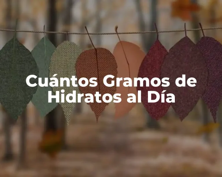 Cuántos Gramos de Hidratos al Día