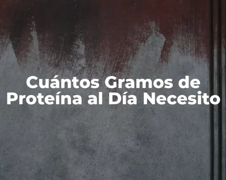 Cuántos Gramos de Proteína al Día Necesito