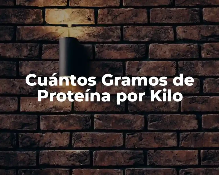 Cuántos Gramos de Proteína por Kilo