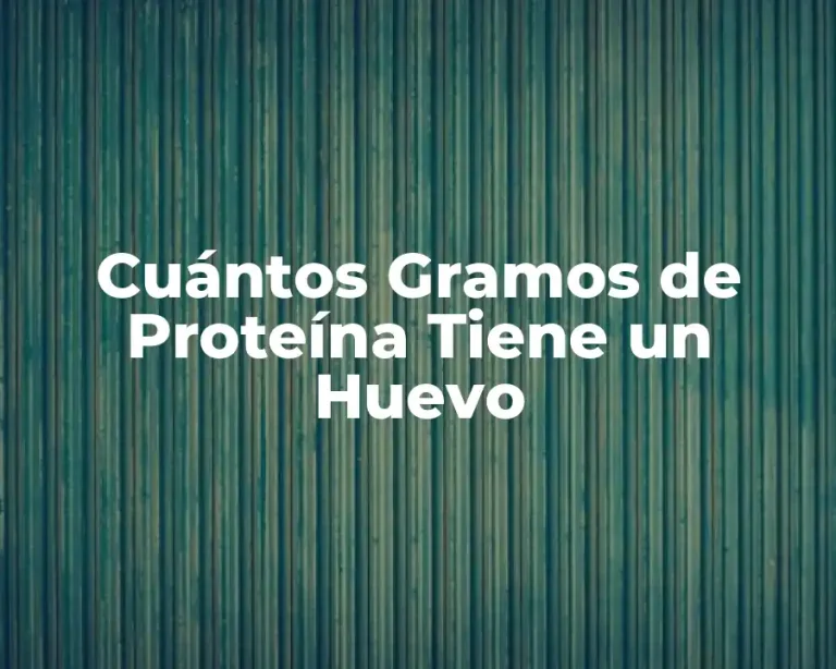 Cuántos Gramos de Proteína Tiene un Huevo